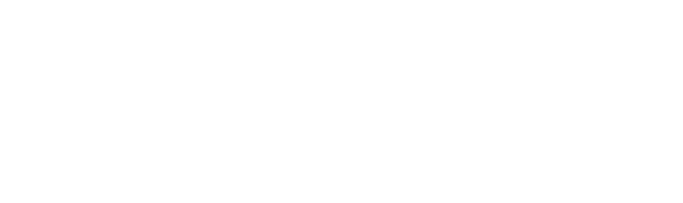 Yelken Optik